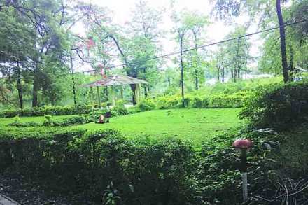 सहज सफर : निसर्गाच्या सान्निध्यात!