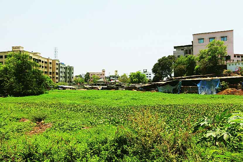 पालिका हद्दीतील तलाव गाळात