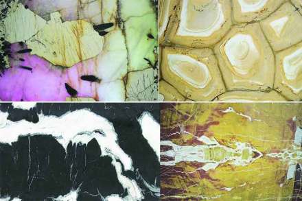 क्षितीज : मार्बलायन! क्षितीज : मार्बलायन!