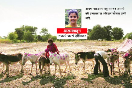 जंगलाची भूषणं! जंगलाची भूषणं!