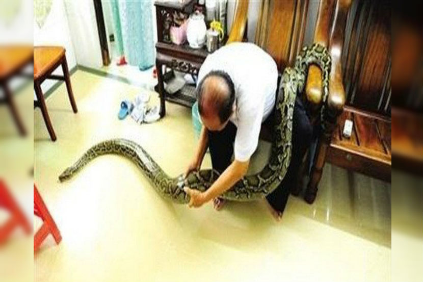 छायासौजन्य : सोशल मीडिया छायासौजन्य : सोशल मीडिया