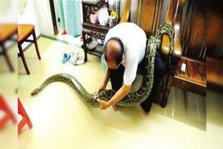  छायासौजन्य : सोशल मीडिया 