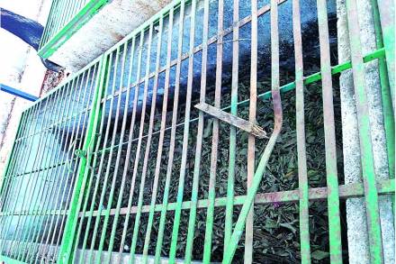 ‘कर्मवीर’ महाविद्यालयात कचऱ्यापासून कंपोस्ट खत