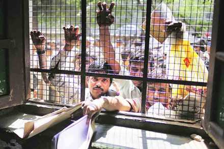 ना रोजगार, ना पतवृद्धी, ना खासगी गुंतवणूक ना रोजगार, ना पतवृद्धी, ना खासगी गुंतवणूक