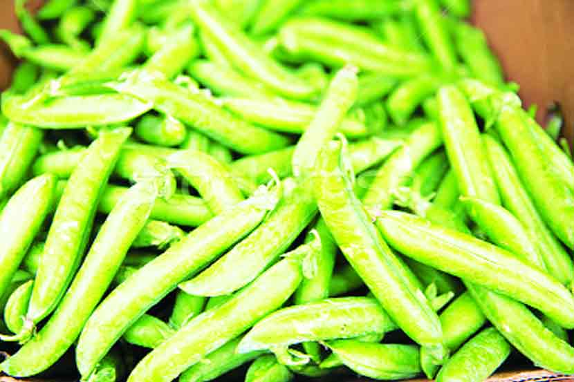 हिरवा वाटाणा २०० रुपये किलोवर हिरवा वाटाणा २०० रुपये किलोवर