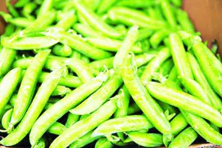 हिरवा वाटाणा २०० रुपये किलोवर हिरवा वाटाणा २०० रुपये किलोवर