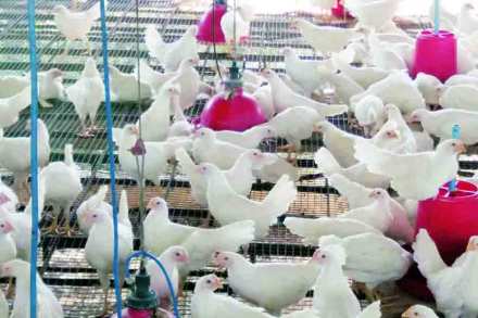 आरोग्यविषयक प्रश्नांवर संमिश्र प्रतिक्रिया