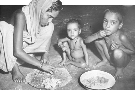 malnutrition malnutrition