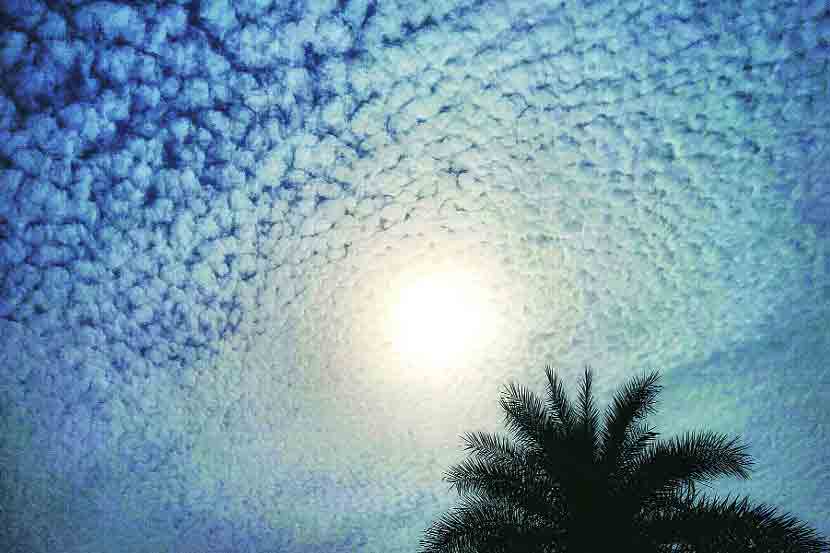 निसर्गाच्या कॅनव्हासवर सूर्याचे रंग, ढगांचा कुंचला अन् झाडांचे ढंग! 