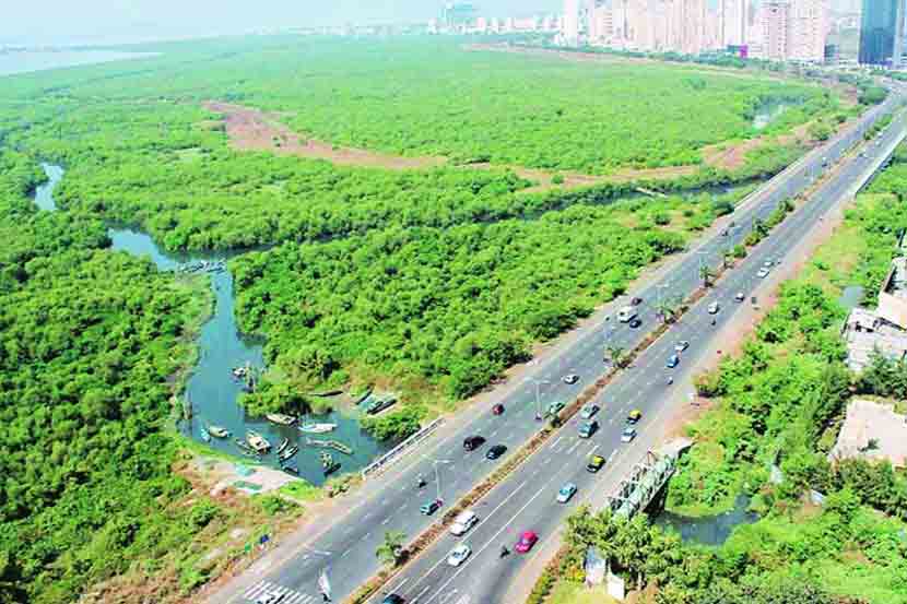 पामबीच विस्ताराचा मार्ग मोकळा