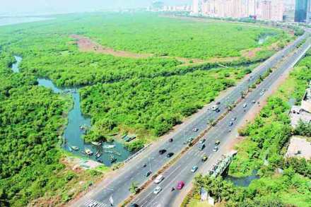 पामबीच विस्ताराचा मार्ग मोकळा