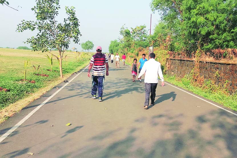 पाऊले चालती.. : वृक्षवल्ली, पक्षी आणि चालणं.. पाऊले चालती.. : वृक्षवल्ली, पक्षी आणि चालणं..