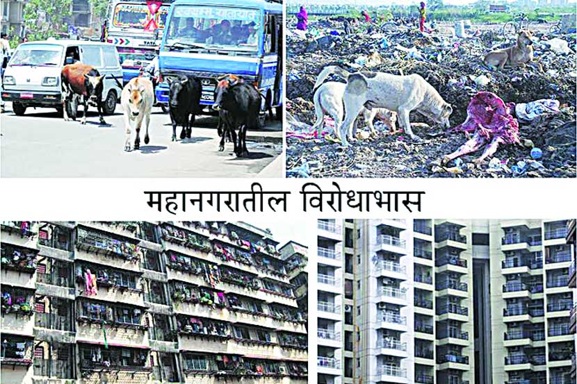 उपराळकर पंचविशी : आशेचा प्रकाशकिरण!