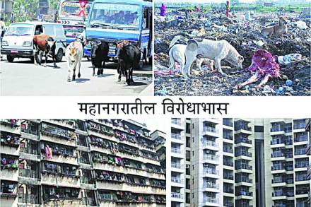 उपराळकर पंचविशी : आशेचा प्रकाशकिरण!