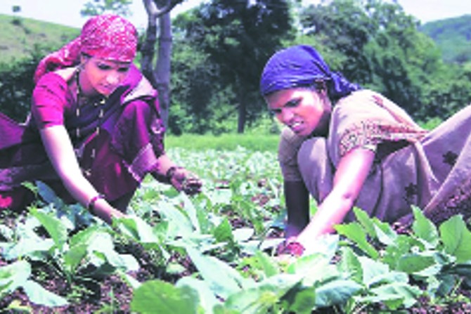 पुणे : शेतमालाला भाव नाही, उसाचे पेमेंट थांबले