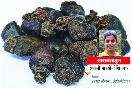 बिब्बा, बुचाची फुलं आणि बरंच काही…