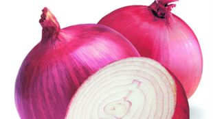 onion