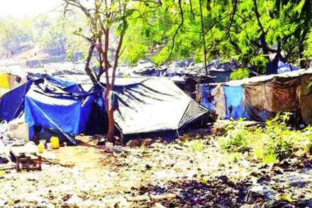 ‘आरे’च्या हरितपट्टय़ाला अतिक्रमणांचे ग्रहण