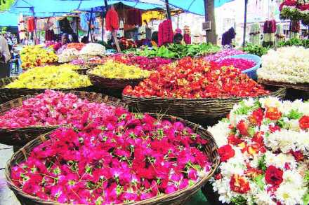 चलन कल्लोळाने मारले.. मार्गशीर्षांने तारले!