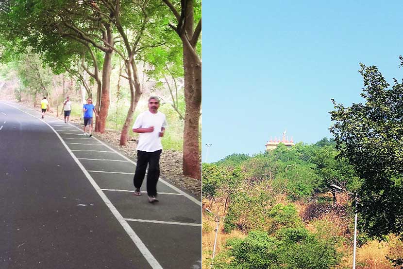 पाऊले चालती.. : डोंगरावरची भ्रमंती