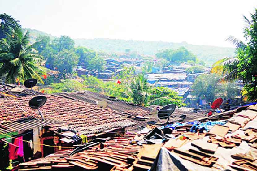 वनांच्या वेशी अतिक्रमणमुक्त?
