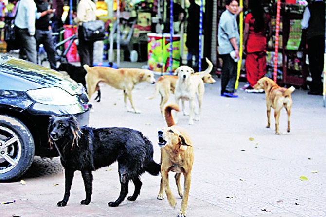 राज्याचा आढावा : नवी मुंबई – नियोजनबद्ध शहरात फसलेले नियोजन