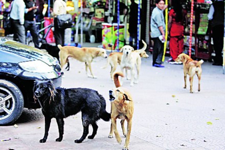 राज्याचा आढावा : नवी मुंबई – नियोजनबद्ध शहरात फसलेले नियोजन