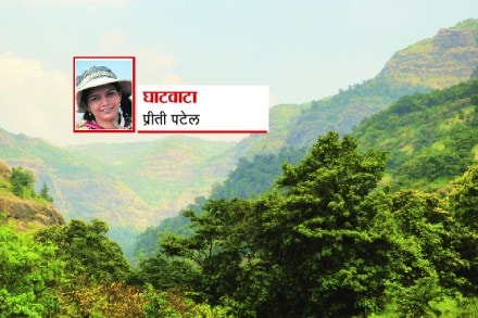 आग्या नाळ – सिंगापूर नाळ आग्या नाळ – सिंगापूर नाळ