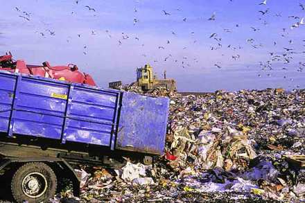 garbage