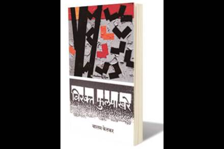 बौद्धिक, भेदक भाष्यकविता बौद्धिक, भेदक भाष्यकविता