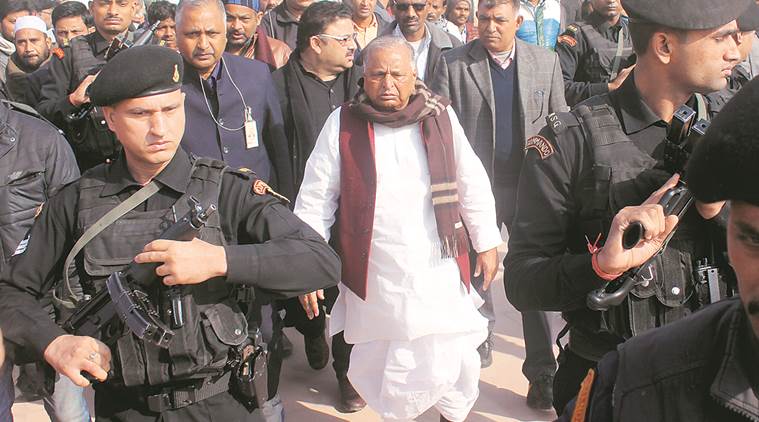 Akhilesh Yadav , Mulayam Singh Yadav , Will fight against Akhilesh Yadav if he doesn’t listen to me , SP, UP election, Loksatta, Loksatta, Loksatta news, Marathi news, Marathi
