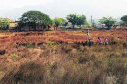 प्रकल्पग्रस्त गावकीत बेकी