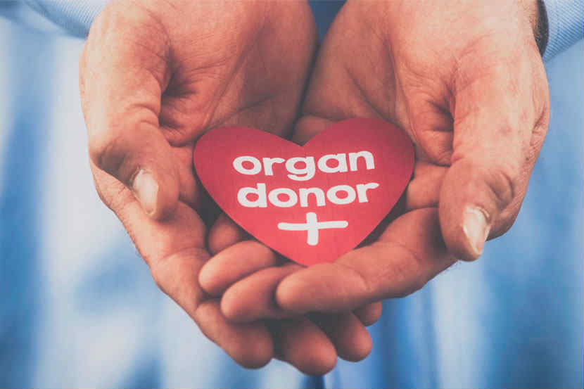 organ-donation