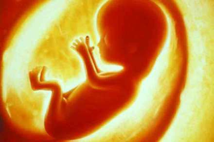 प्रतिनिधिक छायाचित्र प्रतिनिधिक छायाचित्र