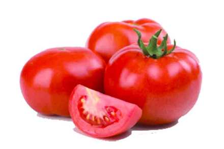 tomato tomato
