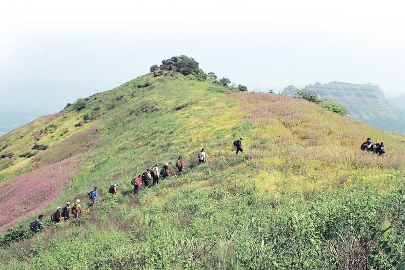 प्रतीकात्मक छायाचित्र