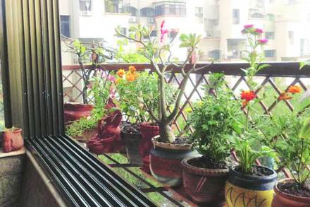 उद्यानवाट : निसर्गाच्या सान्निध्यात..