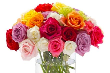 Happy Rose day!!