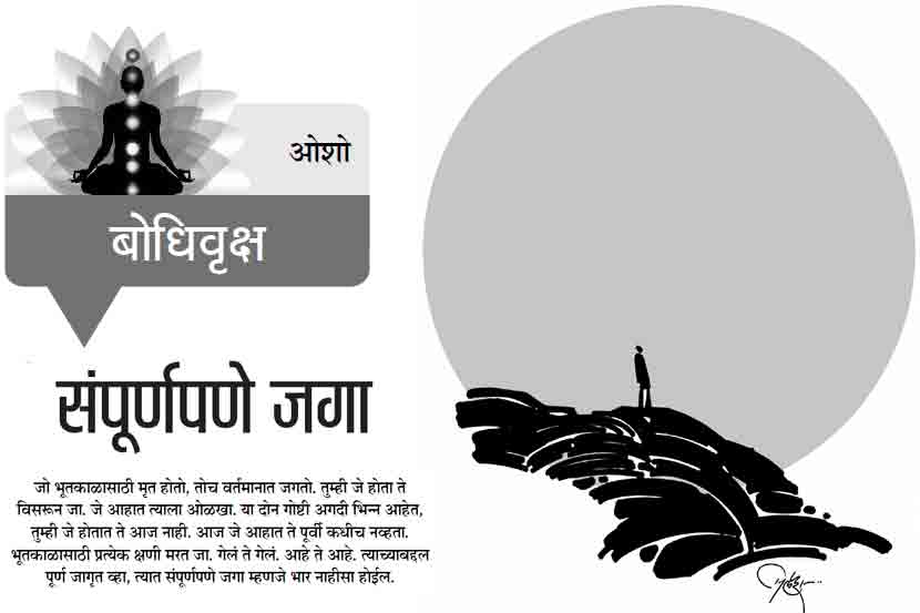 संपूर्णपणे जगा