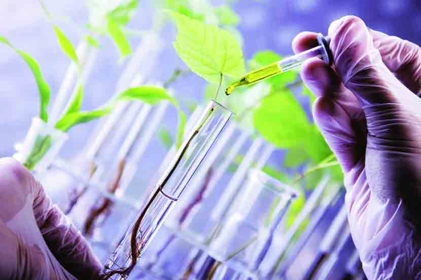 बायोटेक्नॉलॉजीमध्ये संशोधन करण्यासाठी..