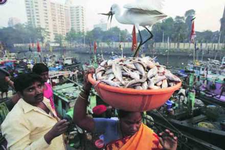 मासळीची आवक घटली मासळीची आवक घटली