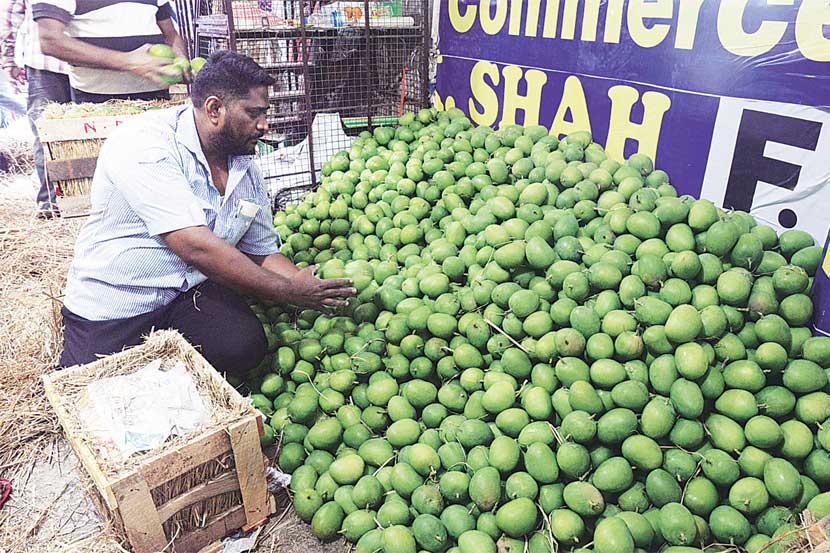 कोकणातील हापूस आंबा घाऊक बाजारात विक्रीसाठी मोठय़ा प्रमाणात येत आहे. कोकणातील हापूस आंबा घाऊक बाजारात विक्रीसाठी मोठय़ा प्रमाणात येत आहे.