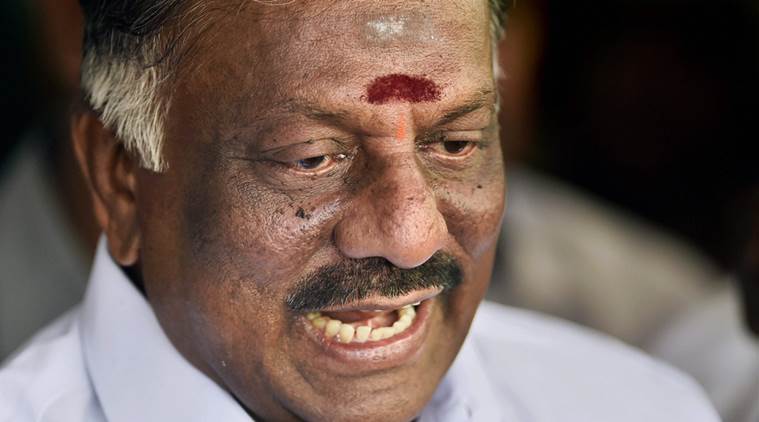 Tamil Nadu , AIADMK , O Panneerselvam , V K Sasikala , Edappadi Palaniswami , Loksatta, Loksatta news, Marathi, Marathi news