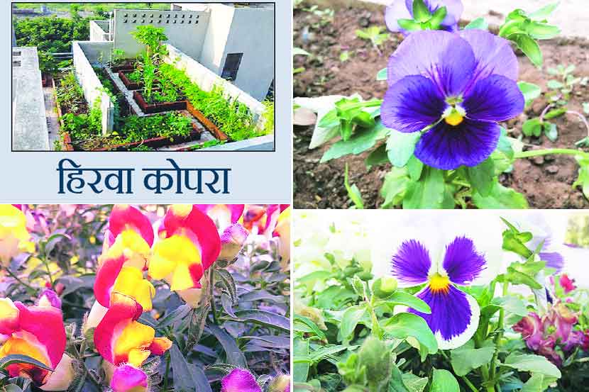 हिरवा कोपरा : निसर्ग सौदर्यातून प्रेरणा घ्या!