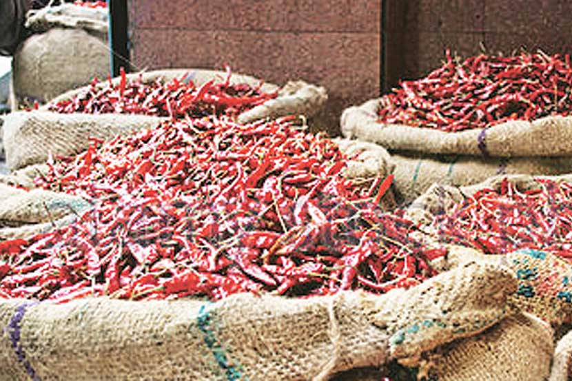 लाल मिरचीचे भाव घसरणार?