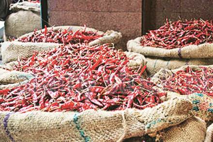 लाल मिरचीचे भाव घसरणार?