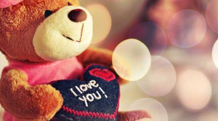 teddy