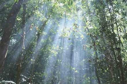 उपराळकर पंचविशी : मुक्तता वास्तुपुरुषाची?!