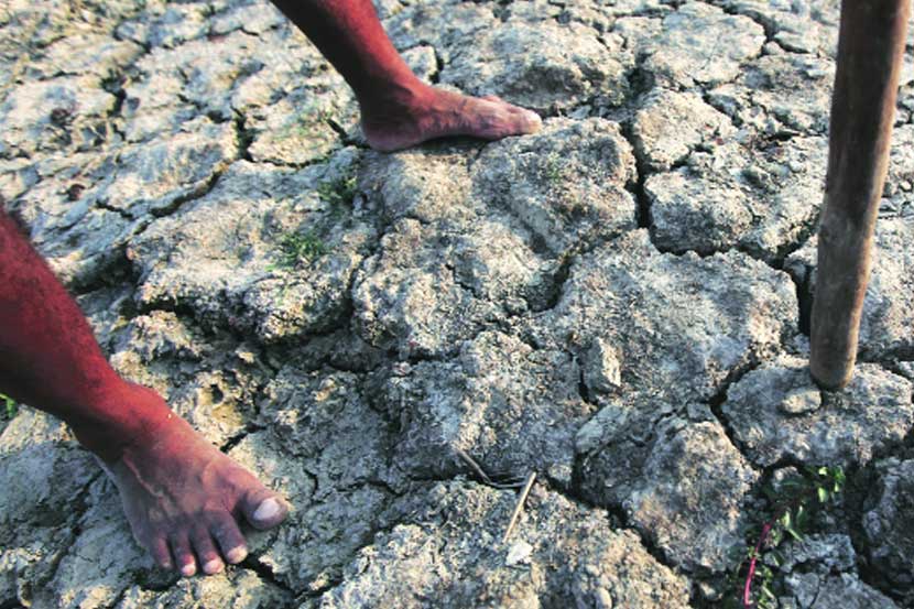 कृषी कार्यक्षमता, आर्थिक सुरक्षितता व समानता कशी आणता येईल?  कृषी कार्यक्षमता, आर्थिक सुरक्षितता व समानता कशी आणता येईल?