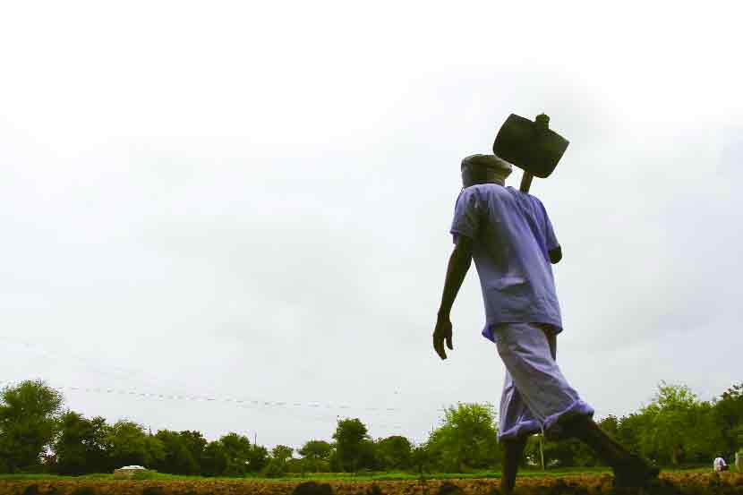 agriculture , Loan waiver, farmers , crop insurance , рдХрд░реНрдЬрдорд╛рдлреА, рдкреАрдХрд╡рд┐рдорд╛ , Banks, Loksatta, loksatta news, Marathi, marathi news agriculture , Loan waiver, farmers , crop insurance , рдХрд░реНрдЬрдорд╛рдлреА, рдкреАрдХрд╡рд┐рдорд╛ , Banks, Loksatta, loksatta news, Marathi, marathi news